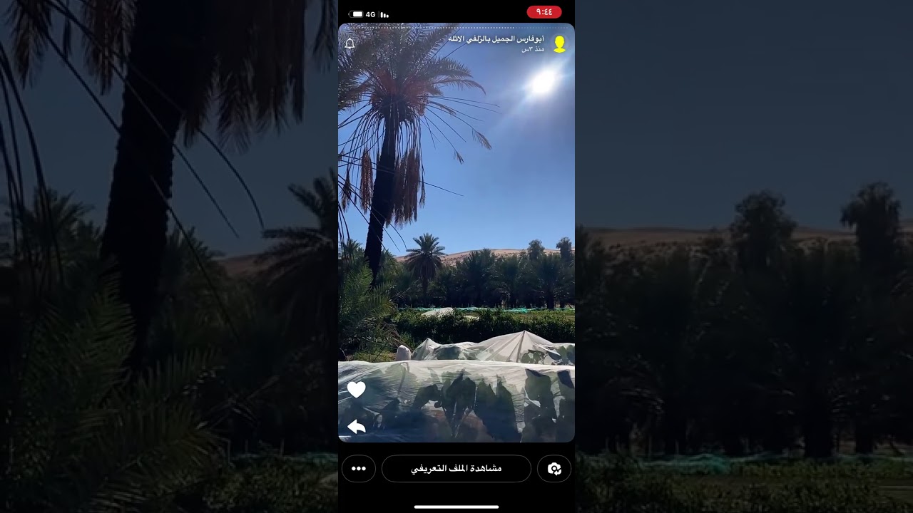 تزوج ثلاث معلمات