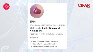 Multiscale Illustrations and Animations (1pm) 24-Hour Multiscale Human Event