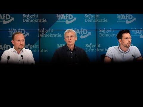 Brandenburger AfD liegt