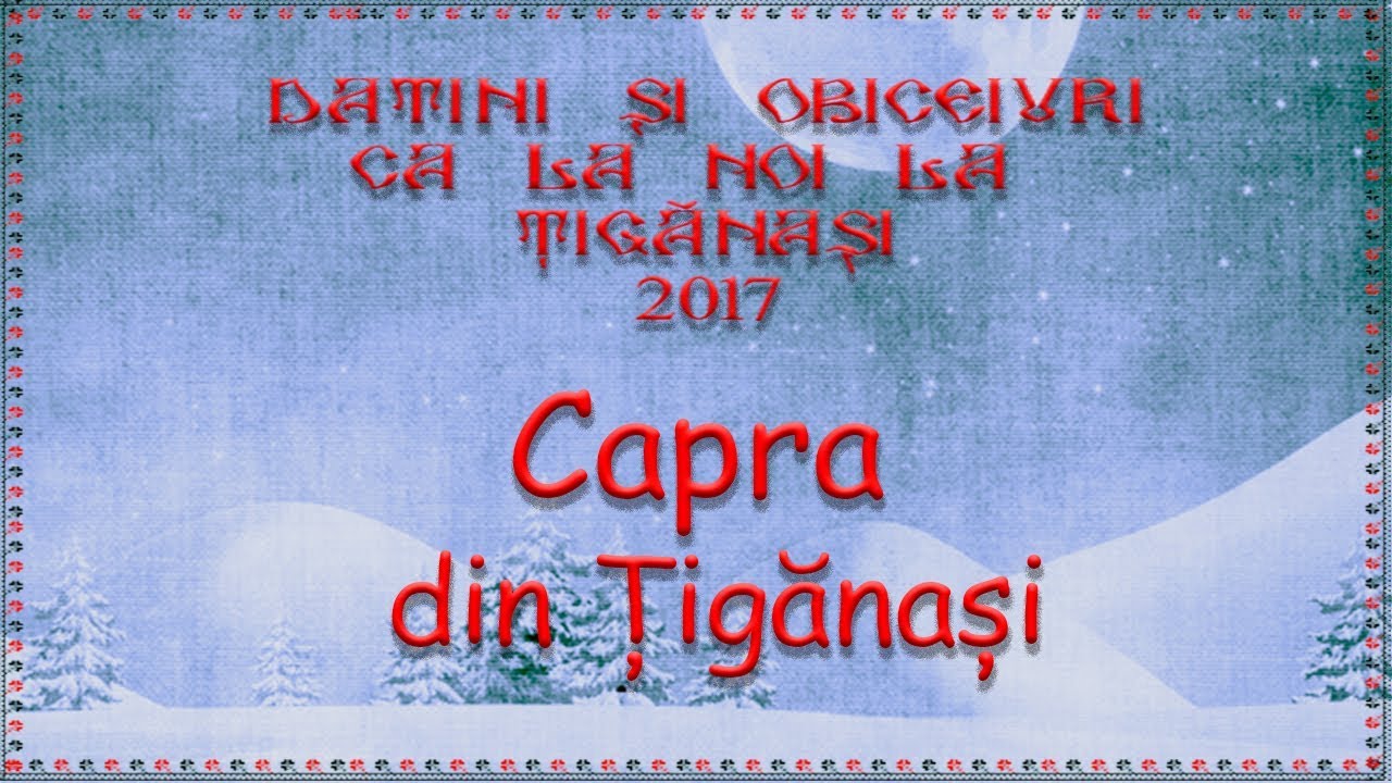 Capra din Tiganasi 2017