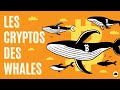 Les riches achtent ces cryptos  ppites crypto bullrun