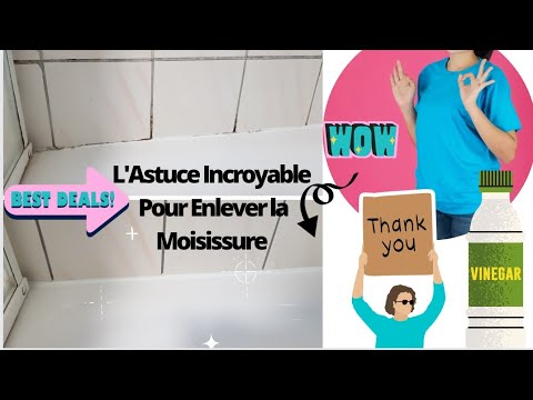 Vidéo: Comment se débarrasser des champignons dans la salle de bain : conseils pratiques