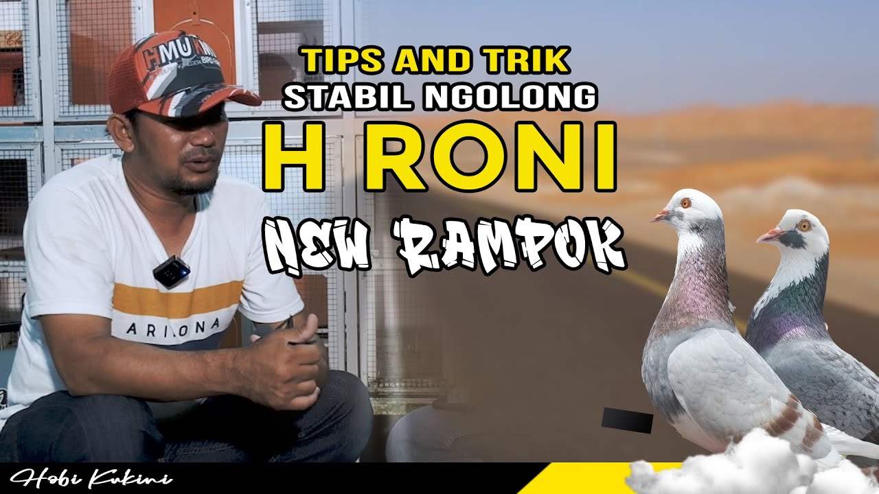 Dijamin Merpati Stabil Ngolong • Versi H. Roni Tim Coklat • Merpati Kolong • @NewRampok