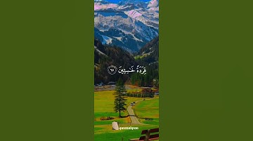 سورة البقرة القارئ #ياسر_الدوسري ‎@islam_sobhi@Sonic_islami#فلسطين#السعودية#المغرب#مصر#الجزائر#تونس