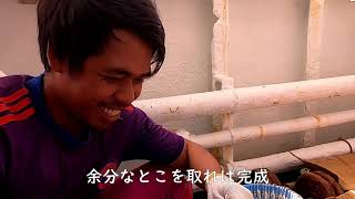 カツオ一本釣り 疑似餌作り No 1 Youtube カツオ一本釣り 疑似餌作り No 1 Youtube