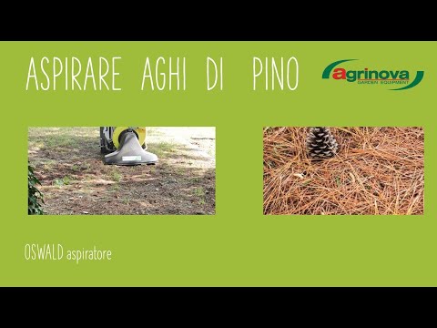 Video: La spazzatrice raccoglierà gli aghi di pino?