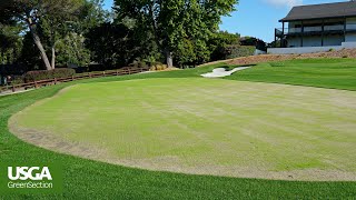 New Greens Take Time To Shine