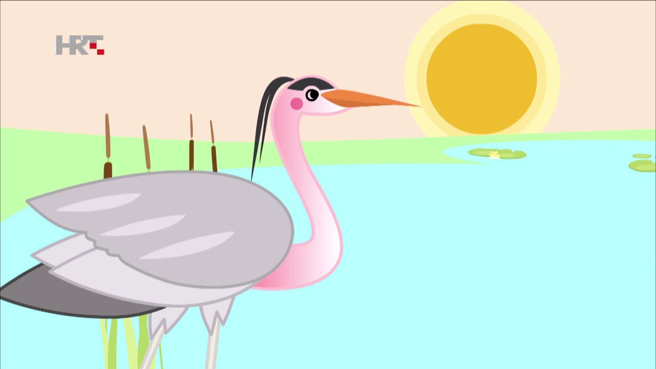 VOLIM ŽIVOTINJE - Čaplja