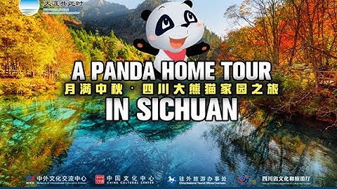 A Panda Home Tour In Sichuan Trailer ― Mid-Autumn Festival