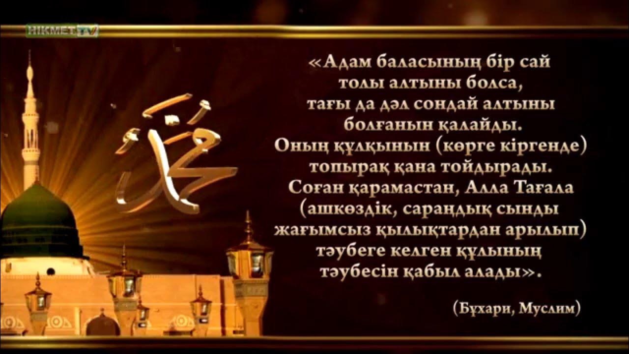 Порно секс кг