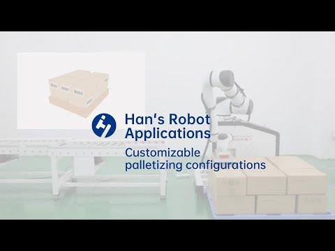 Han's Robot Application