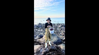#赶海 今天天气非常好太适合赶海抓螃蟹了，石头洞里面的螃蟹抓不停，非常过瘾#户外赶海抓海鲜 #我的乡村生活