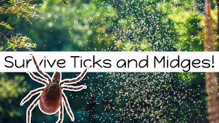 Bug Free Trip to Scotland! | Midges and Ticks