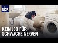 Niedersachsen: Wie arbeitet eine Tatortreinigerin? | Die Nordreportage | NDR Doku