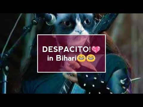 Despacito In Bihari Verison. Hilarious Lyrics.
