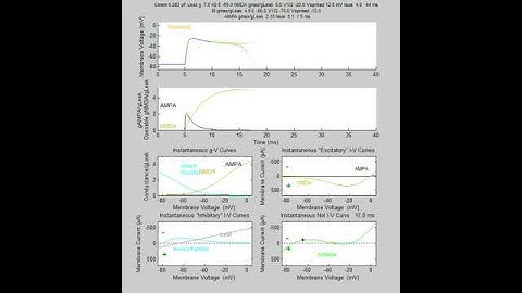 Active Properties of Neocortical Pyramidal Neuron Dendrites: Supplemental Video 1