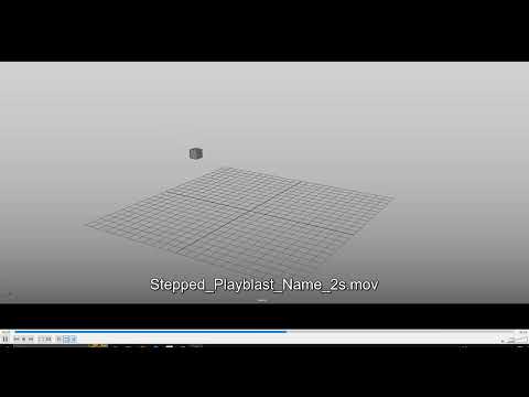 Stepped Playblast PP