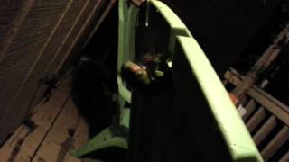 Frog vs dragonflies