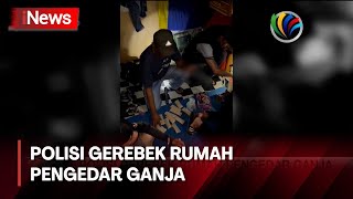 Polisi Gerebek Rumah Pengedar Ganja di Kabupaten Bogor