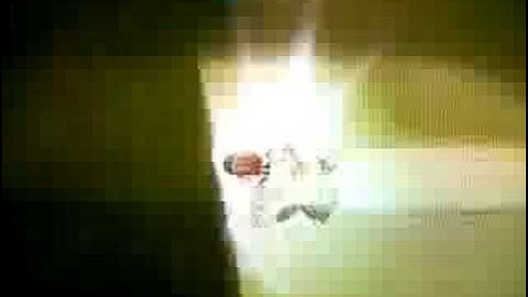 MKWii DDR FLAP 34.866 (Former WR)