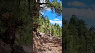 The Hidden Hiking Trail of Las Vegas