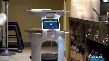 Sergios Hires Servi the Robot Server