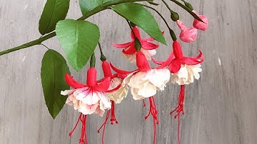 ABC TV | How To Make Double Fuchsia Paper Flower With Shape Punch - Craft Tutorial