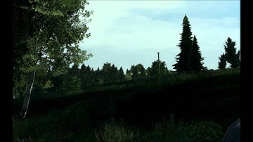 Texture/LOD switching issue with Bystrica pine tree - OA beta 1.62.95417