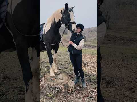 Пегас покоритель пенечка😍