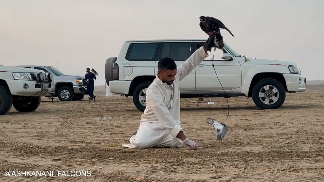 تربيب ودعو موسم ٢٠٢٤ -  فرخ شاهين (بيلز) - الحلقة الخامسة