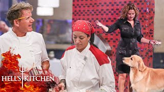 Chefs Make A Complete DOGS DINNER Of Service | Hell's Kitchen