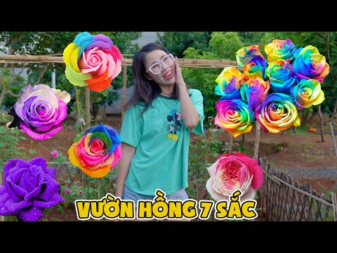 Video: Thông tin về cách trồng củ trong vườn hoa của bạn