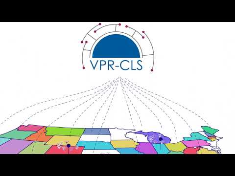 NAACCR virtual pooled registry cancer linkage system