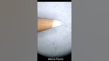 pencil under the microscope. #shorts #microfact