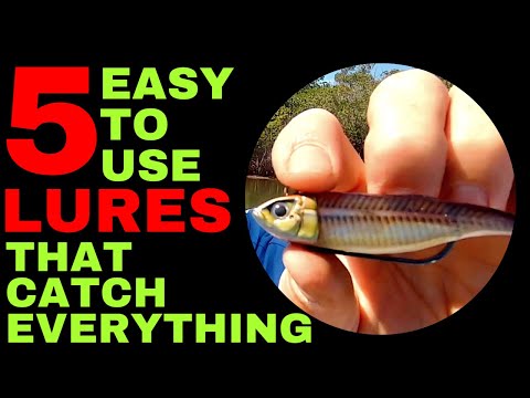 The 5 Best Fishing Lures For Beginners and Kids 