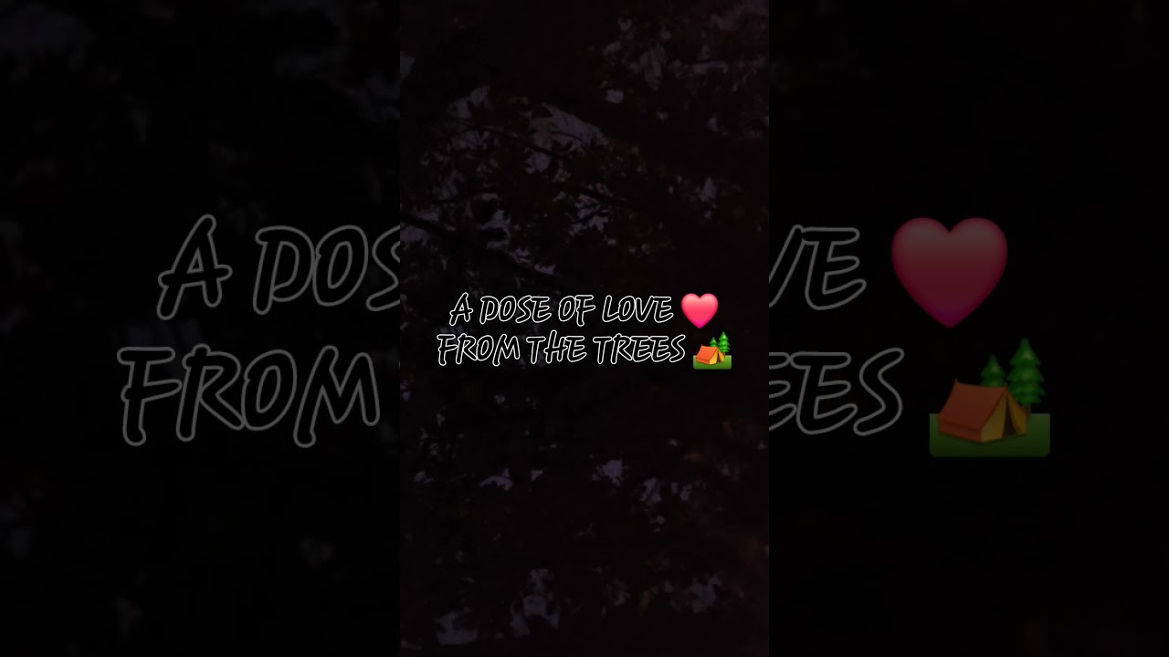 A DOSE OF LOVE ❤️ FROM THE TREES 🌳:  STANZA ON INTENTION