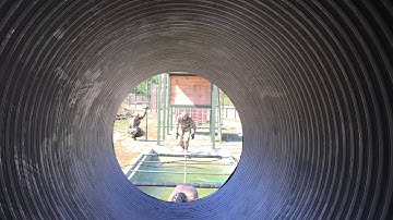 Commando Challenge 2015