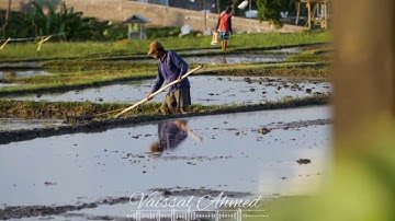وَآخَرُونَ اعْتَرَفُوا بِذُنُوبِهِمْ/ سورة التوبة || فيصل أحمد || صلاة التهجد رمضان 1443 ه - 2022 م