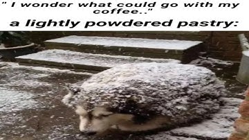 running ultrakill full game everyday until i get a gf (day 48)