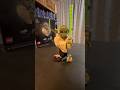 Lego Yoda Bust Build and Review. Affordable? #legostarwars #yoda