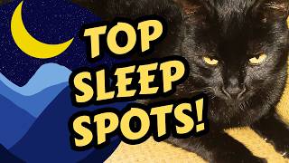 7 Places Cats REALLY Love To Sleep