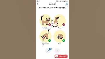 Easy Game Level 497 Decipher the cat