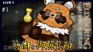 【DLC】#1　裸、棍棒縛りでやります！【#Vtuber / #ELDENRING /エルデンリング /エルデ 】