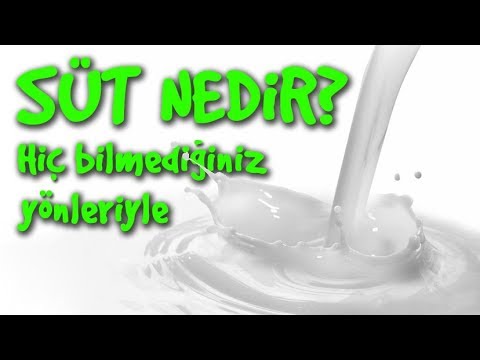 Video: Sütten Nedir?