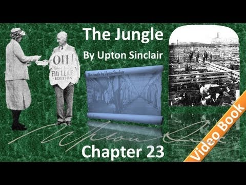 Chapter 23 - The Jungle by Upton Sinclair