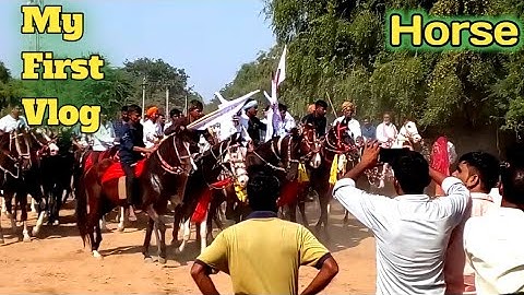 My First Vlog 🐎||my first vlog 2022|| first vlog || #vlog  #viralvlogs