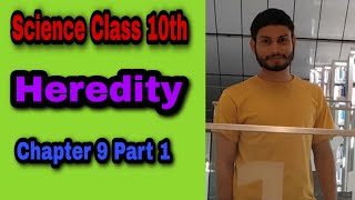 Heredity | Class 10 Science Chapter 9 Part 1