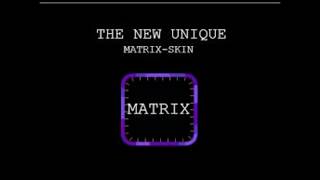 Hack and Bug matrix skins in Stick run 100% working