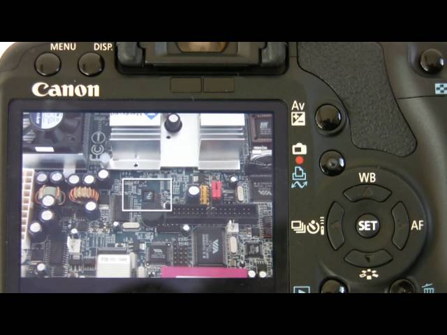 Is Canon 500D still relevant? (Review ENGLISH) Image & Video Test 