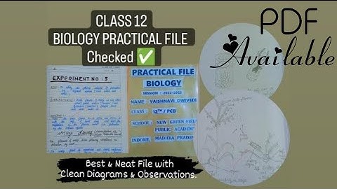 CBSE|Class 12|Biology|Practical File|Checked| Session : 2022-2023|Best & Neat File| Practical Exams|